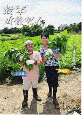 披荆斩棘 磁力狗